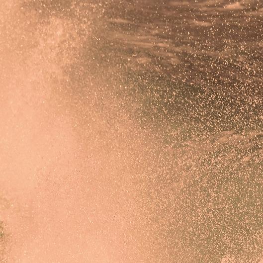 A. Beauty Gold Membership